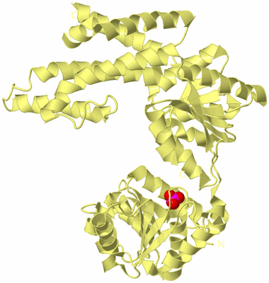 Image Biological Unit 4