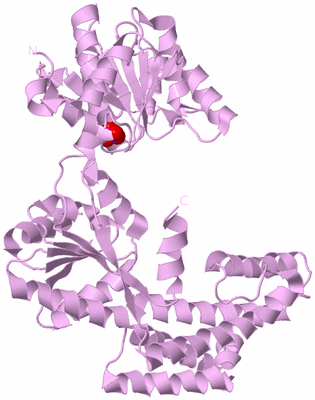 Image Biological Unit 5