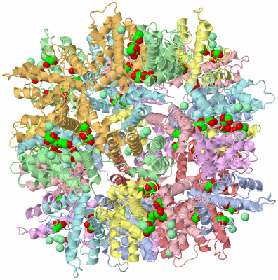 Image Biological Unit 1