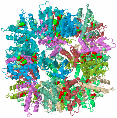 Image Biological Unit 2