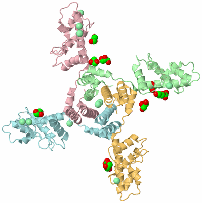 Image Biological Unit 3