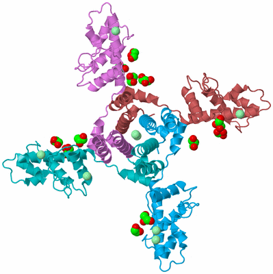 Image Biological Unit 4