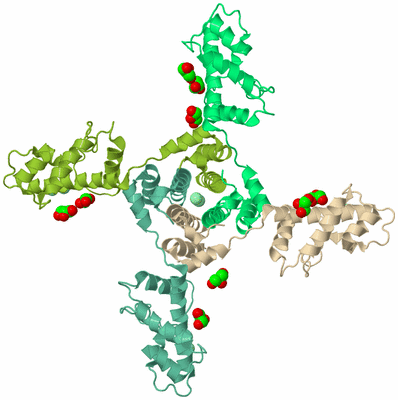 Image Biological Unit 5