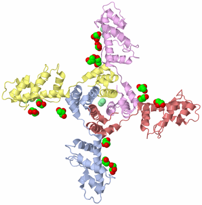 Image Biological Unit 6