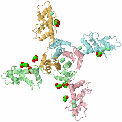 Image Biological Unit 7