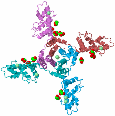 Image Biological Unit 8