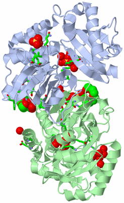 Image Asym./Biol. Unit - sites