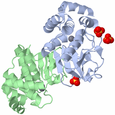 Image Asym./Biol. Unit