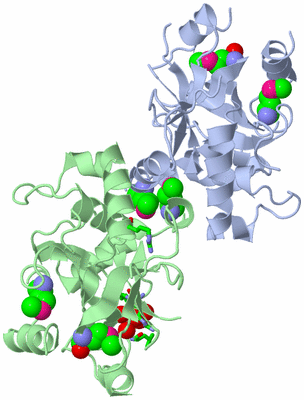 Image Asym./Biol. Unit - sites