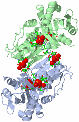 Image Asym./Biol. Unit - sites