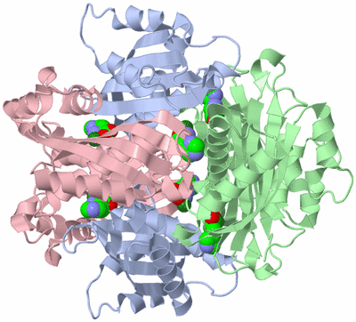 Image Biological Unit 1