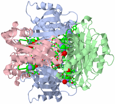 Image Biol. Unit 1 - sites