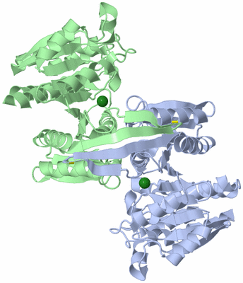 Image Asymmetric Unit