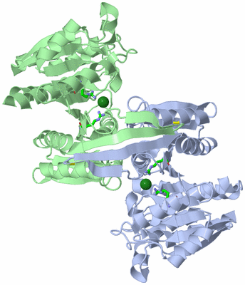 Image Asym. Unit - sites