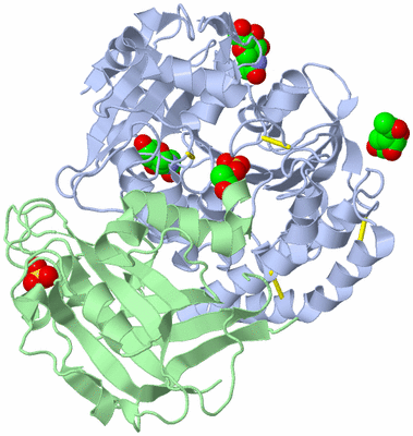 Image Asym./Biol. Unit