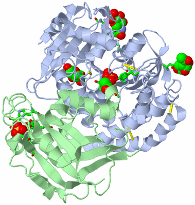 Image Asym./Biol. Unit - sites