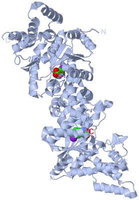 Image Biological Unit 1