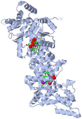 Image Biol. Unit 1 - sites