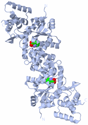 Image Biological Unit 1