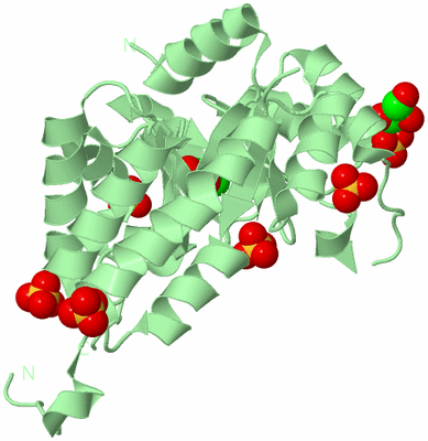 Image Biological Unit 2