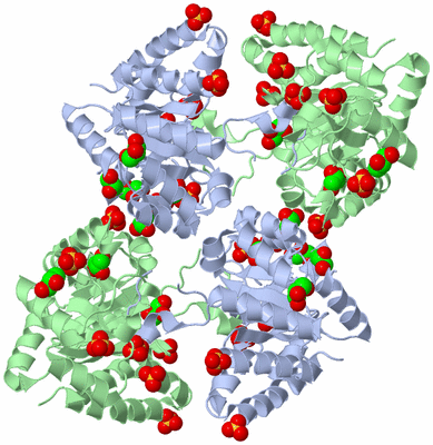 Image Biological Unit 3