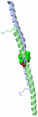 Image Asymmetric Unit