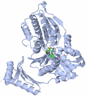 Image Biol. Unit 1 - sites