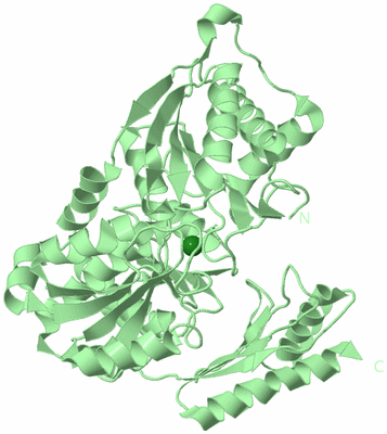 Image Biological Unit 2