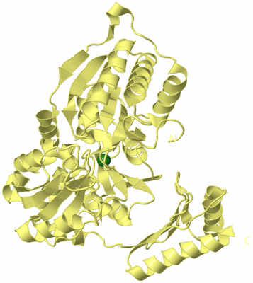 Image Biological Unit 4