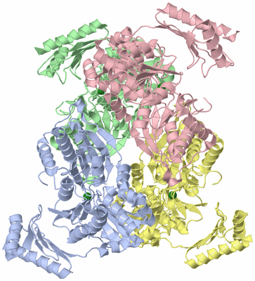 Image Biological Unit 5