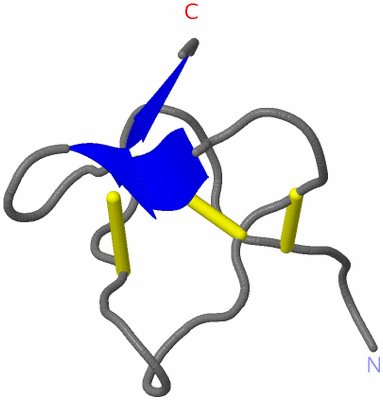 Image NMR Structure - model 1