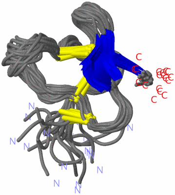 Image NMR Structure - all models