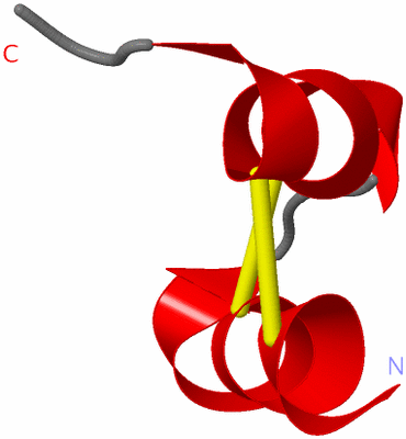 Image NMR Structure - model 1