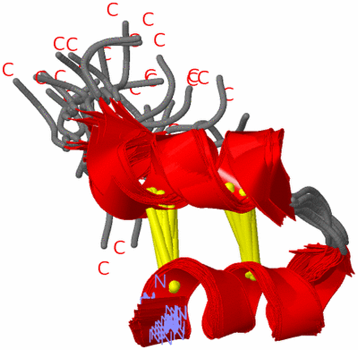 Image NMR Structure - all models