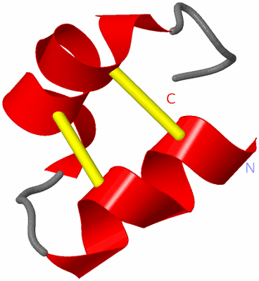 Image NMR Structure - model 1
