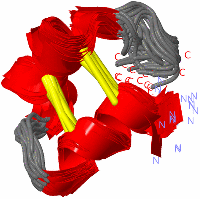 Image NMR Structure - all models