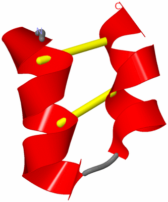 Image NMR Structure - model 1