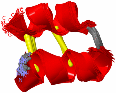 Image NMR Structure - all models