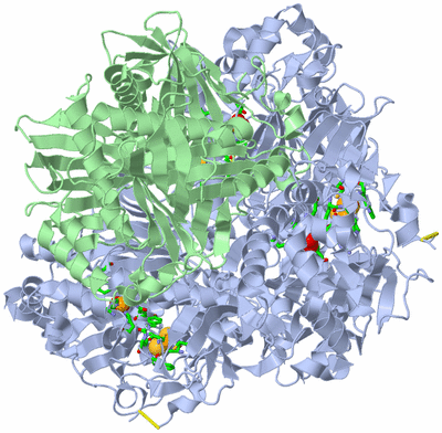 Image Biol. Unit 1 - sites