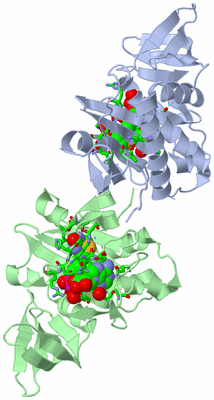 Image Asym./Biol. Unit - sites