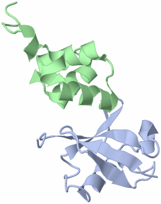 Image NMR Structure - model 1