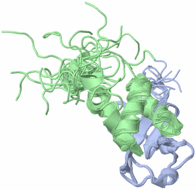 Image NMR Structure - all models