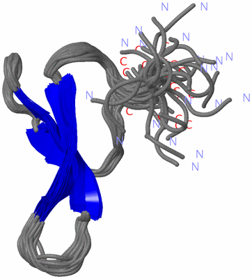 Image NMR Structure - all models