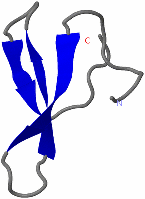 Image NMR Structure - model 1