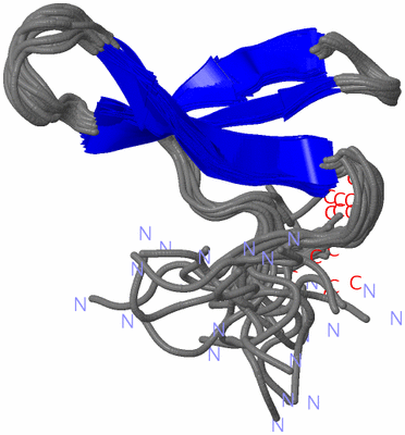 Image NMR Structure - all models