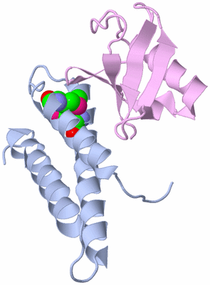 Image Biological Unit 1