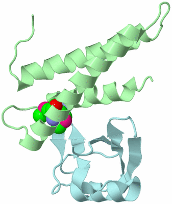 Image Biological Unit 2