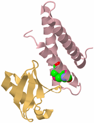 Image Biological Unit 3