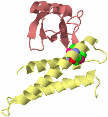 Image Biological Unit 4