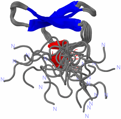 Image NMR Structure - all models